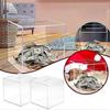 Clear Acrylic Money Bank Piggy Bank for Adult, Must Break to Open Transparent
