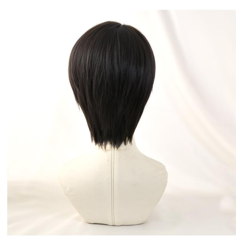 SUNXXCOS Attack on Titan Cosplay Wig, Heat-Resistant Wig, Costume Accessory (Levi Wig)