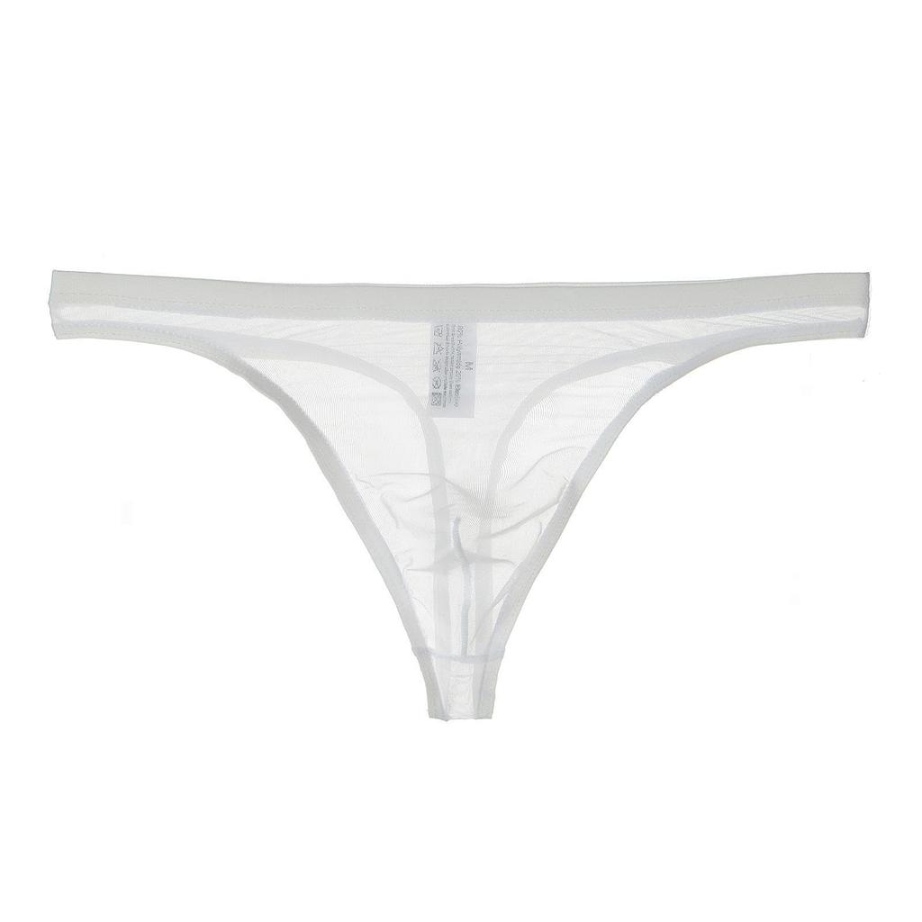 Amy Coulee Sheer Micro Mesh Sexy Lingerie Men's T-Back, Ultra-Thin (White, L)