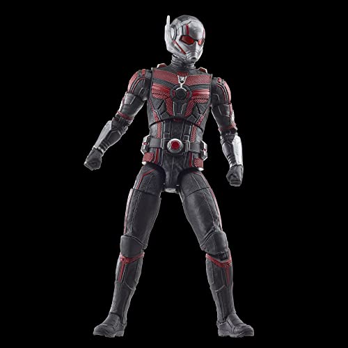 Hasbro Marvel Legends Series Ant-Man, Ant-Man and the Wasp: Quantumania 6-inch (15cm) Action Figure, Ages 4 and Up, F6573, Authentic