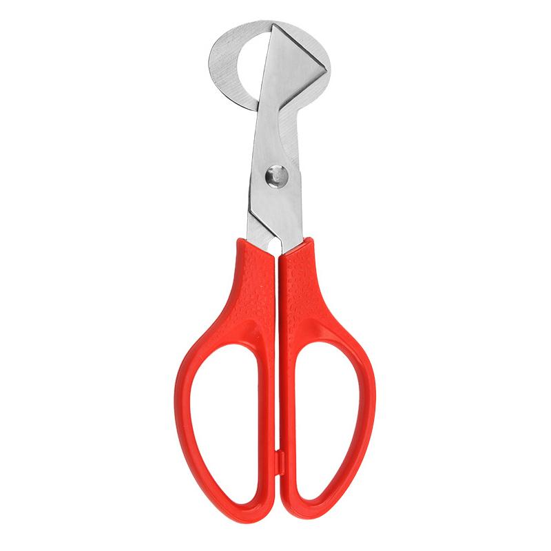 1Pc Stainless Steel Quail Egg Shell Scissors - Rust-Resistant Durable Kitchen Tool,  for Quail Egg Cutting & Cigar Trimming