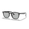 Sunglasses RB4259F SHINY BLACK WITH LIGHT GREY LENS Asian Fit Lightweight Ray-Ban