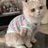 Pet Cat Clothes Summer Anti-hair Loss Cute Gold Gradient Ragdoll Cat British Short Summer Breathable Small Vest