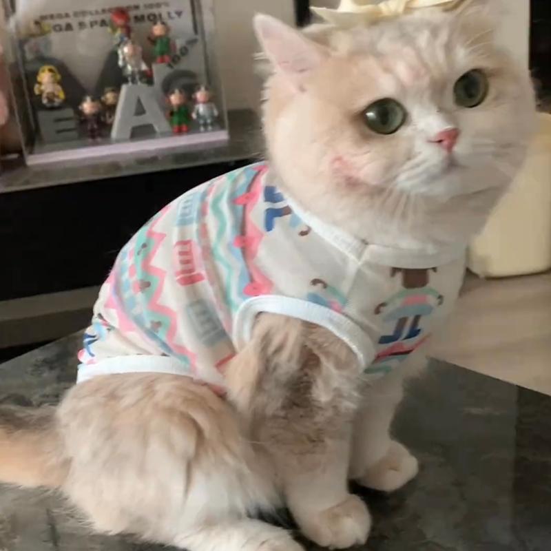 Pet Cat Clothes Summer Anti-hair Loss Cute Gold Gradient Ragdoll Cat British Short Summer Breathable Small Vest