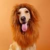 Pet Costume Lion Mane Wig For Dog Halloween Festival Dress Up Prop Fashion Gift