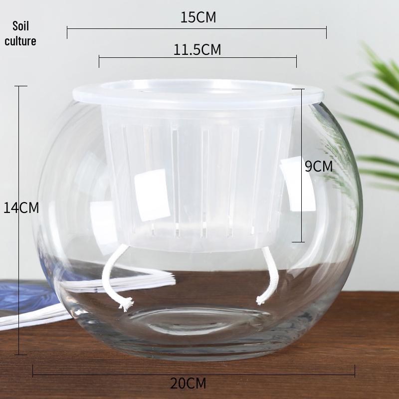 Modern Minimalist Hydroponic Glass Vase for Pothos & Green Plants - Living Room Desk Decor