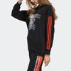Adidas Neo Wzry Hdy Print Stripe Sport Pullover Hoodie Women Tops Black GD2187