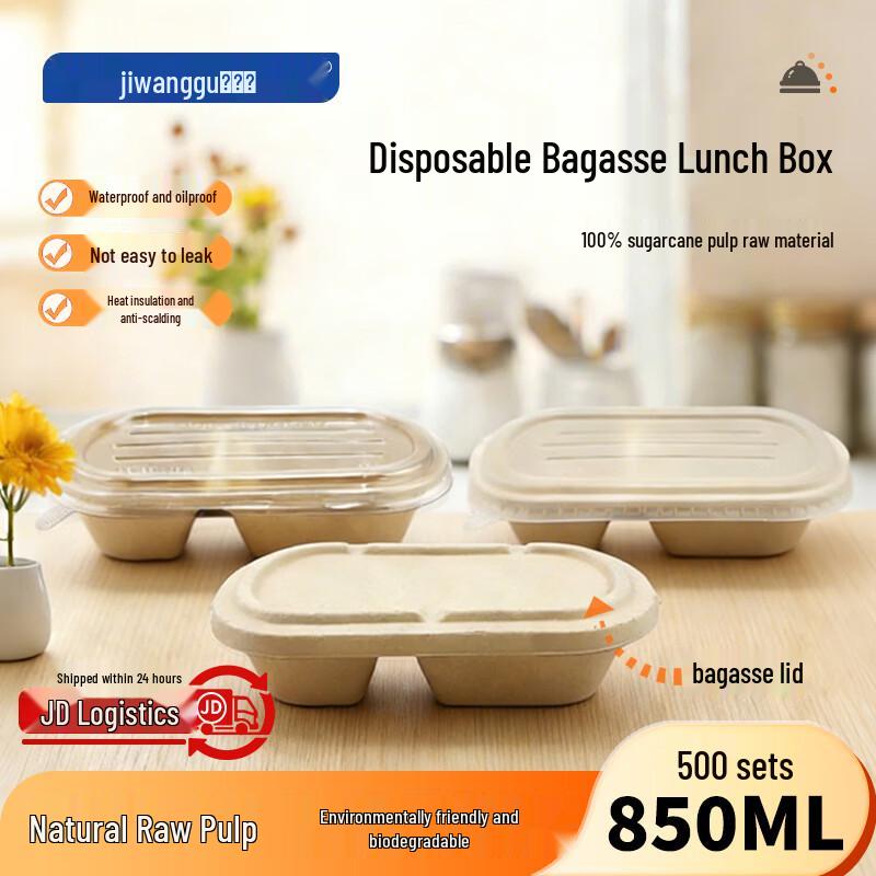 Eco-Friendly Sugarcane Pulp Disposable Lunch Box