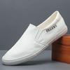 New Shoes for Men Canvas Casual Shoes Spring Fashion Concise Flat Shoes 6 Colors Slip-on Loafers Sneakers