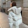 Giacca in Piuma con Cappuccio Nuova Invernale Donna Versione Coreana Ispessita Larga Temperamento Giacca a Pane