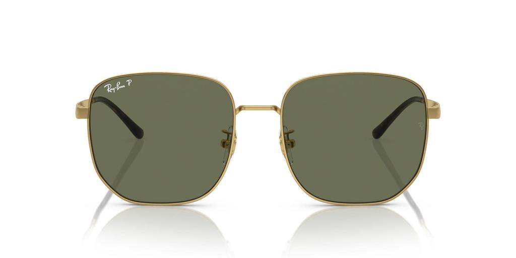 Sunglasses RB3713D ARISTA GREEN POLAR Lens 57 [Ray-Ban] Frame/DARK