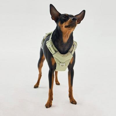 Far Pet No-Webbing Harness, Naviglio Green