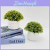 Artificial Starry Sky Hemisphere Plant Pot With Plastic Material For Wedding Decor And Indoor Garden