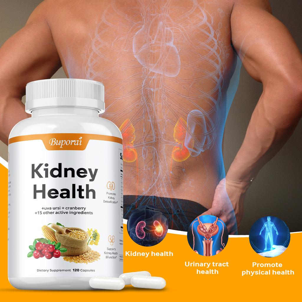 Kidney Health Support Supplement, Containing Bearberry and Cranberry Extracts, Supports Kidney Health.