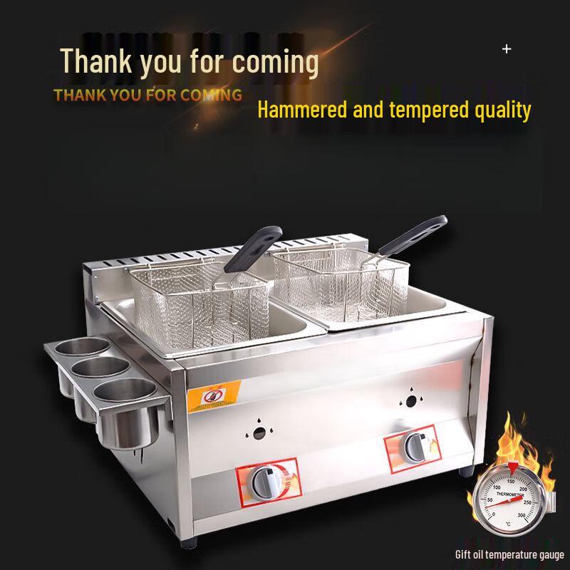 Commercial Gas Deep Fryer