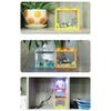 Stackable Desktop Aquarium with 6 Hole Betta Aquarium Suitable for Betta Fish Plastic Texture Design Easy to Clean