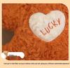 Cheerful Puppy Plush Toy - Good Luck Dog Heart Pillow Companion