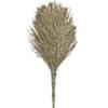 Outdoor Bamboo Yard Broom
