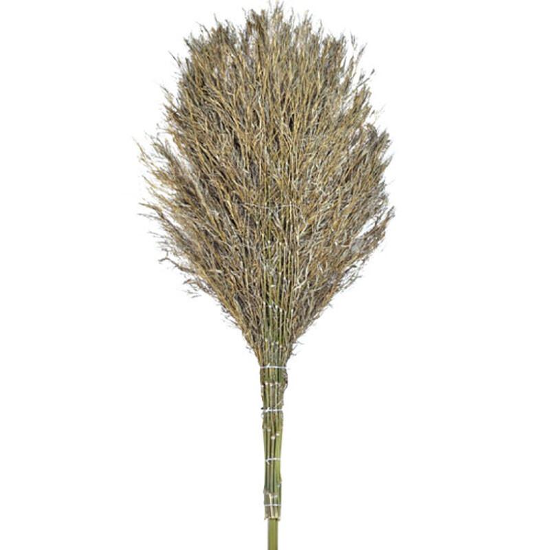 Outdoor Bamboo Yard Broom