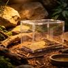 Anti-escape Reptile Feeding Box Transparent Jumping Spider Terrarium  For Lizard Spider