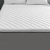 WTEMPO Double-sided Four Seasons Available Foldable High Quality Soft Mattress Thick Bedroom Bed Sheet Tatami Pad School Dormitory Bed Mattress Pad