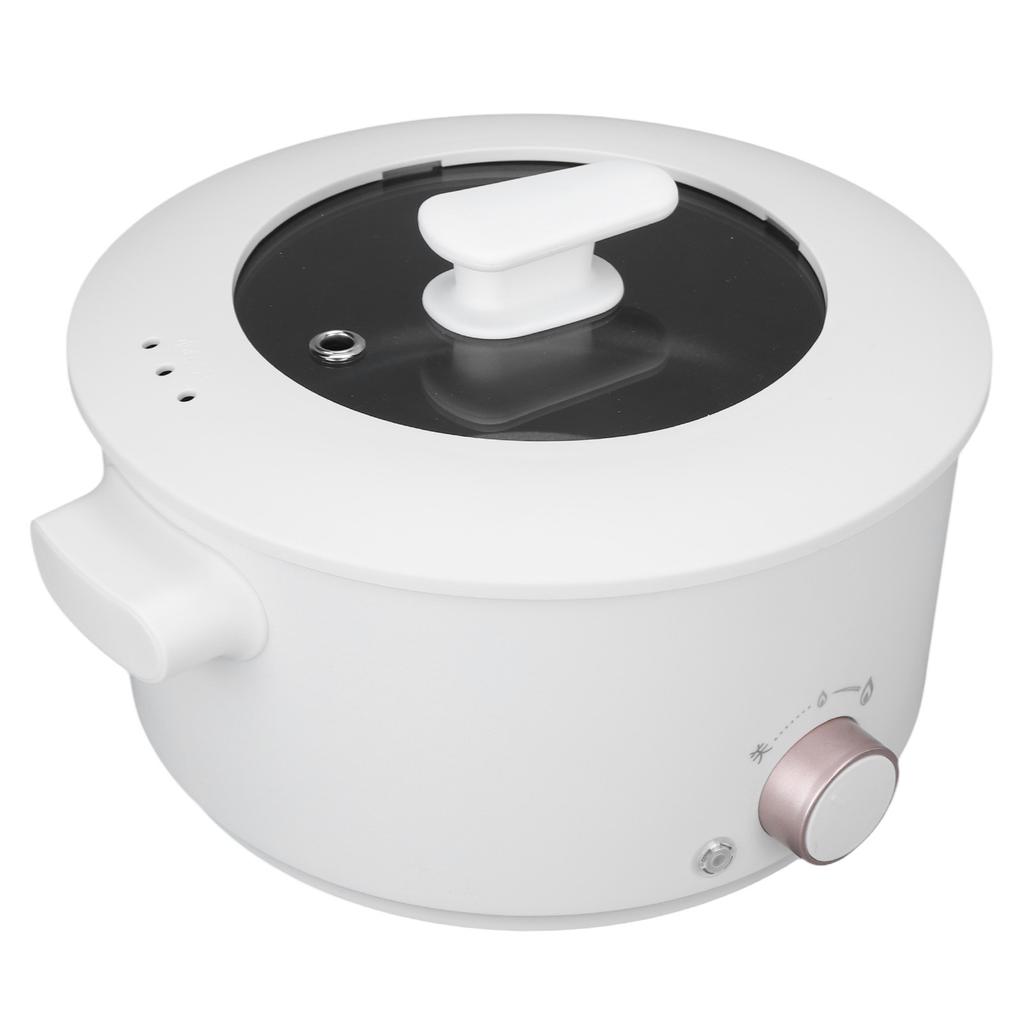 3L Electric Cooking Pot   Multifunctional Electric Cooker Dorm Studen Electric Frying Pan