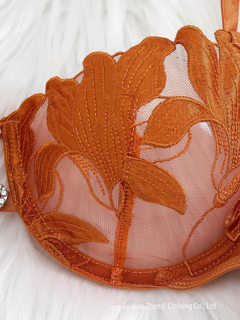 Z Evropské a americké sexy květinově vyšívané průsvitné spodní prádlo velké velikosti