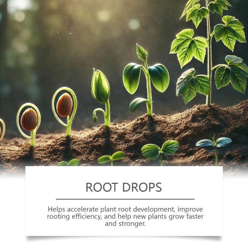 Plant Nutrient Liquid for Root Care Routines, Single Bottle Propagation Solution for Indoor Potted Care and Balcony Gardening Use Tasks