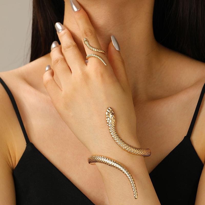 1Pcs/Set Vintage Snake Shaped Bracelets For Women Men Exquisite Punk Ring Personalized Earrings Party Jewelry Accessories Gifts