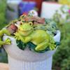 Cartoon Frog Hanging Flower Pot Resin Crafts Climbing Frog Figurines  Plant Pot