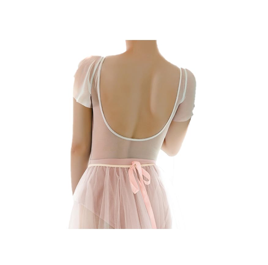 ProDance Blue and Pink Velvet Ballet Leotard with Ruffled Sleeves Women's (PLT012L, XXL, Pink)