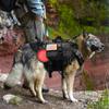 Strong Nylon Dog Harness Tactical Military Pet Vest Harnesses With Bag Working Dog Training Vests For Medium Large Dogs
