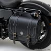 Daytona Chrome Plated Saddlebag Hanger & Support Set for Harley-Davidson XL Sportster (04-15) Left Side, Part Number 79032