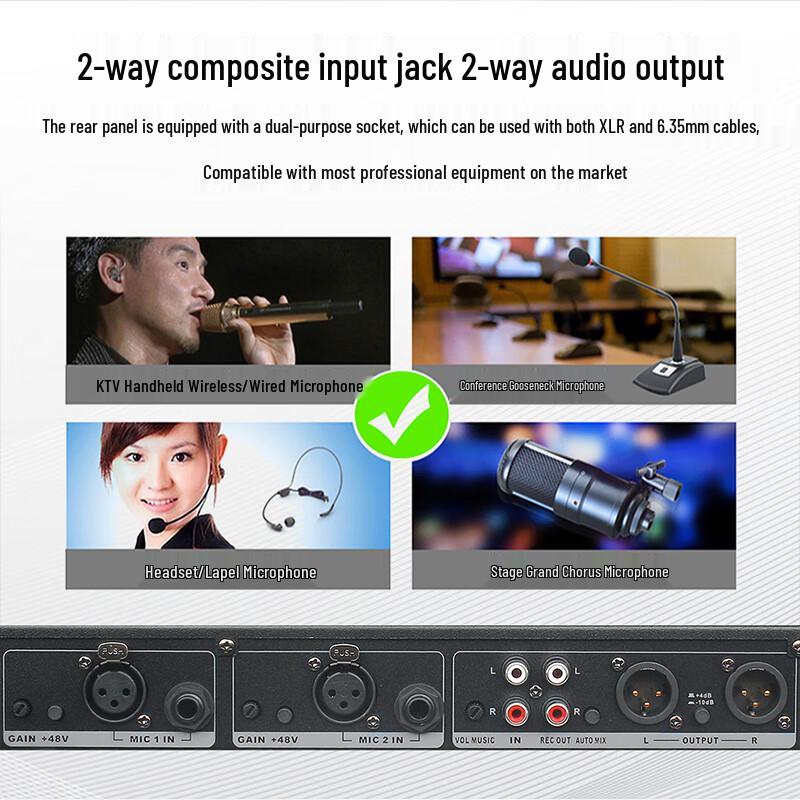 HSD Professional Digital Feedback Suppressor and Audio Processor (CN Version)