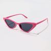 Small Frame Cat Eye Sunglasses Vintage UV400 Protection Trendy Eyewear Retro Shades for Women