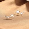 Star Stud Earrings Women'S Summer Creative Three-Star Earrings Plain Circle High-End Trend Earrings