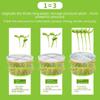 Automatic Large-Capacity Household Bean Sprout Machine