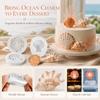 3PCS Heat Resistant Seashell Fondant Mold Food Grade Silicone Silicone Baking Mold  Resin Crafting