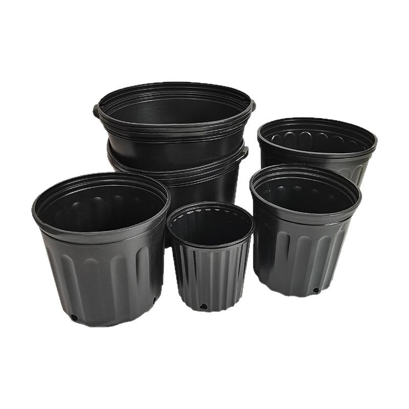 Black Currant Nursery Flower Pots, Tall & Short Models