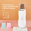 Rechargeable Ultrasonic Skin Scrubber Ultrasonic Ion Black Head Remover Pore Cleaner  Skin Care