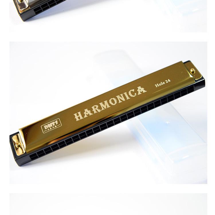 Big Beauty Angel 24-Hole Diatonic Harmonica & 37-Key Melodica for Adults & Beginners