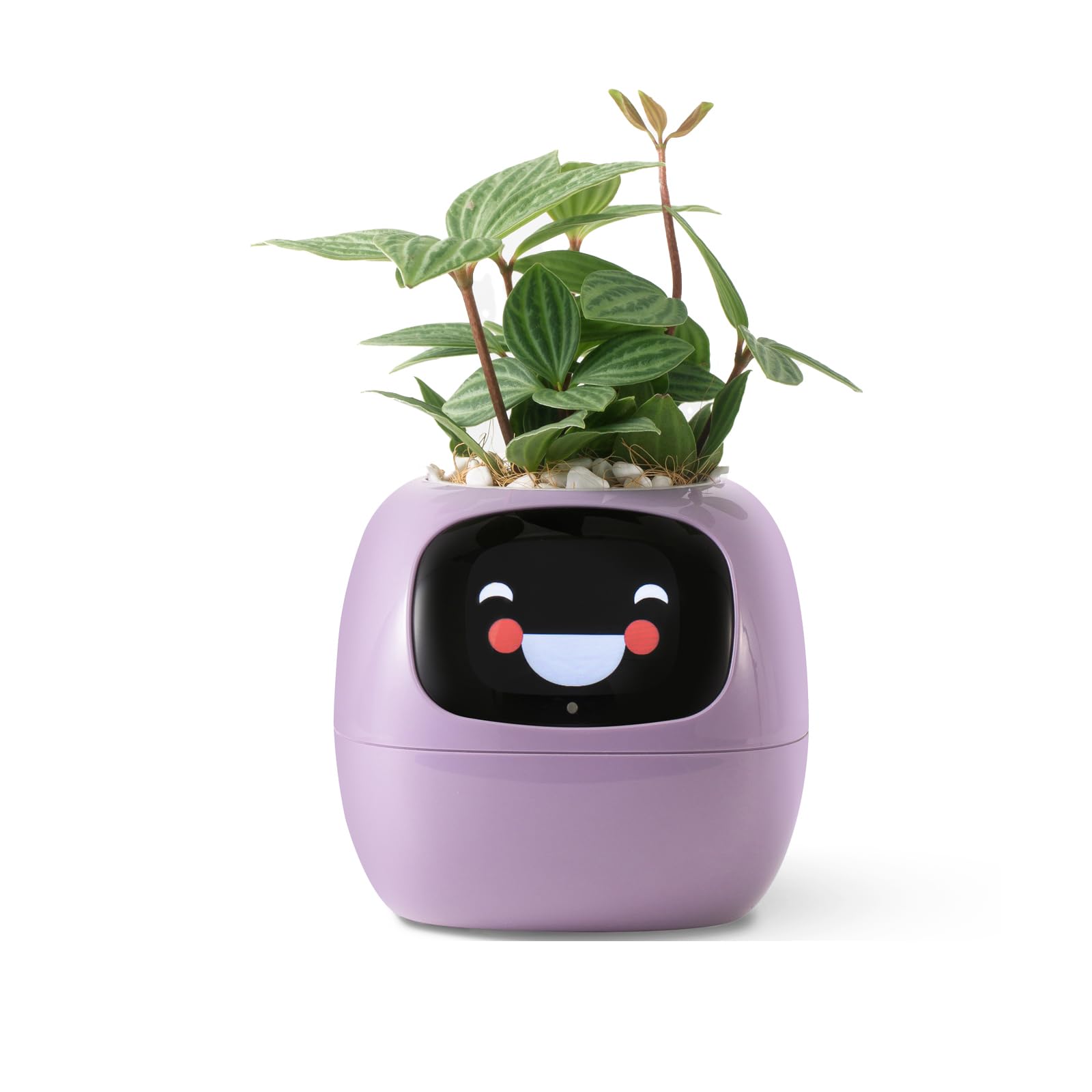 

PlantsIO Smart Pet Robot Guidance for Plant Care with Adorable Plant Companion with Rich Gesture Neat Desk Setup Gift Planter, Emojis, Interactions, фиолетовый