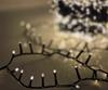 StarryLights 2000 LED Christmas Tree Lights - Warm White