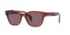 Sunglasses RB0880SF 6639AF TRANSPARENT PINK 53 [Ray-Ban]