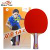Double Fish 1-Star Beginner Table Tennis Racket