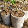 100Pcs Fabric Pots Large Plant Pot Garden Supplies Fabric Planter Grow Bags Small Plant Nonwoven Seedling Bag