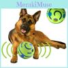 Kichern Wackeln Wedeln Ball Hund Spiel Training Sport Haustier Spielzeug Lustiges Geräusch Kauen Welpe