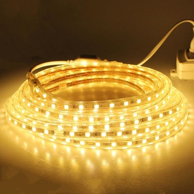 1M Waterproof SMD 5050 LED Strip 220V 230V 60leds/m Flexible Tape Rope Light