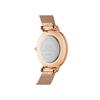 Daniel Wellington DW00100163