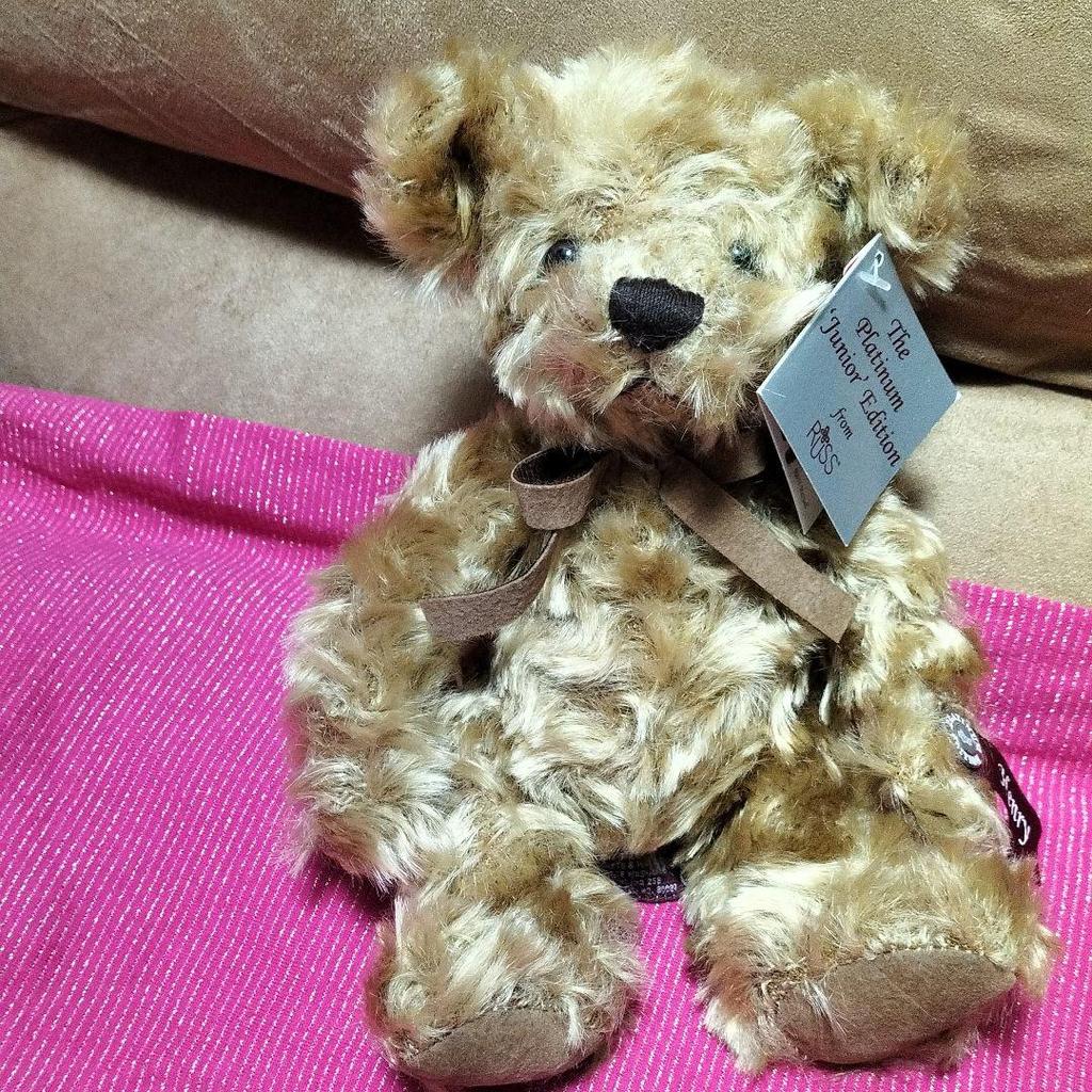 [USED] Fields? Bear, Stuffed Animal, Teddy Bear